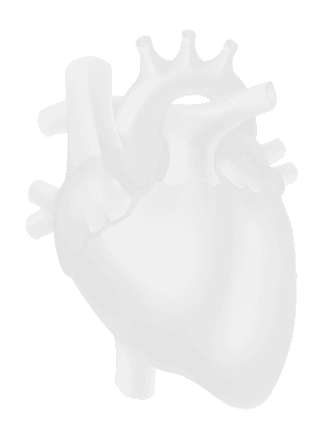 Heart Image